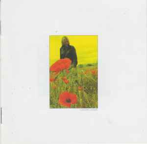 The Alarm - In The Poppy Fields: Five : Coming Home