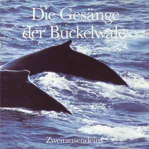 Humpback Whale - Die Gesänge Der Buckelwale album cover