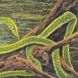 Rainforest Spiritual Enslavement - Green Graves album cover