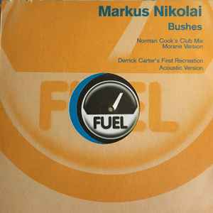 Markus Nikolai - Bushes album cover