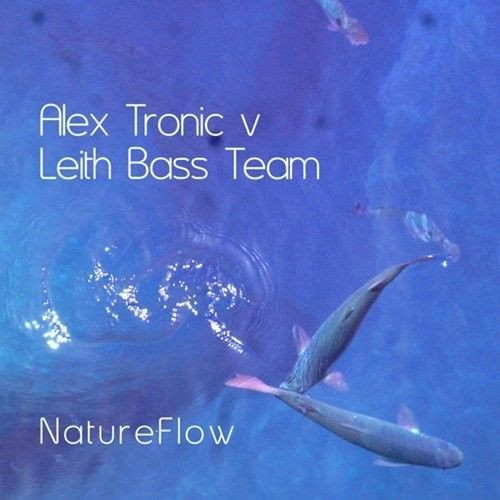 lataa albumi Alex Tronic V Leith Bass Team - NatureFlow