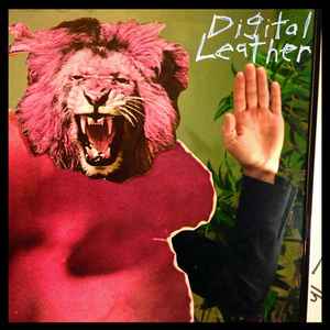 Digital Leather – New Wave Gold (2020, Vinyl) - Discogs