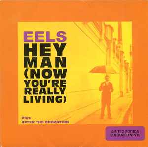 Eels – “Mistakes Of My Youth” Video