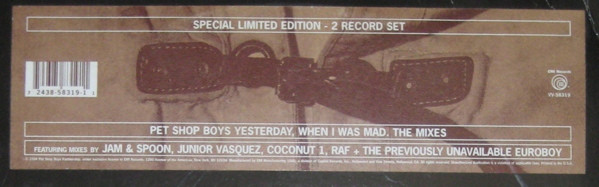 baixar álbum Pet Shop Boys - Yesterday When I Was Mad The Mixes