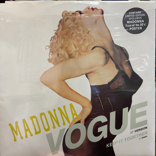 Quadro LP Madonna Vogue