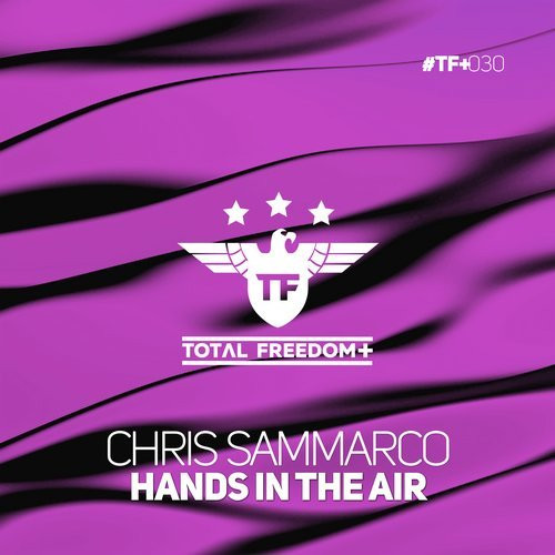 descargar álbum Chris Sammarco - Hands In The Air