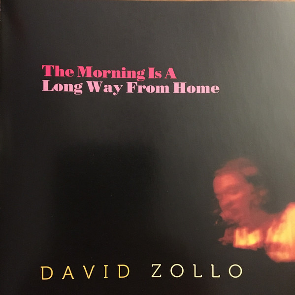 last ned album David Zollo - The Morning Is A Long Way From Home