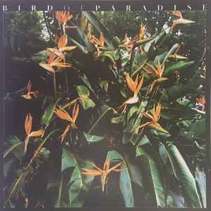 Karnan Saba - Bird Of Paradise album cover