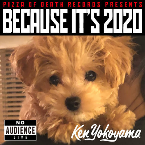 Ken Yokoyama – Pizza Of Death Records Presents Because It's 2020