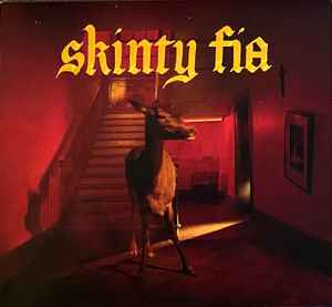 Skinty Fia - Fontaines D.C.