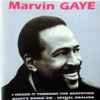 Marvin Gaye - Untitled