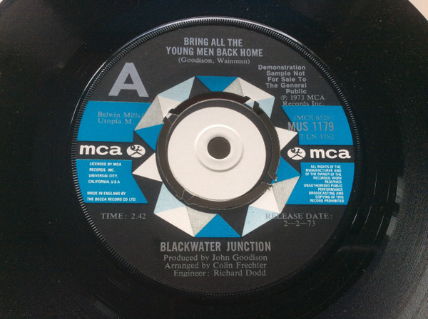 descargar álbum Blackwater Junction - Bring All The Young Men Back Home