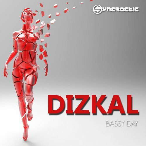 télécharger l'album Dizkal - Bassy Day