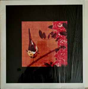 日本廉価 【 Susumu Yokota Image 1983 - 1998 】Vinyl LP Ambient
