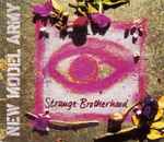 Cover of Strange Brotherhood, 2001, CD