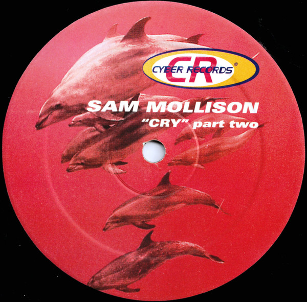 lataa albumi Sam Mollison - Cry Part Two