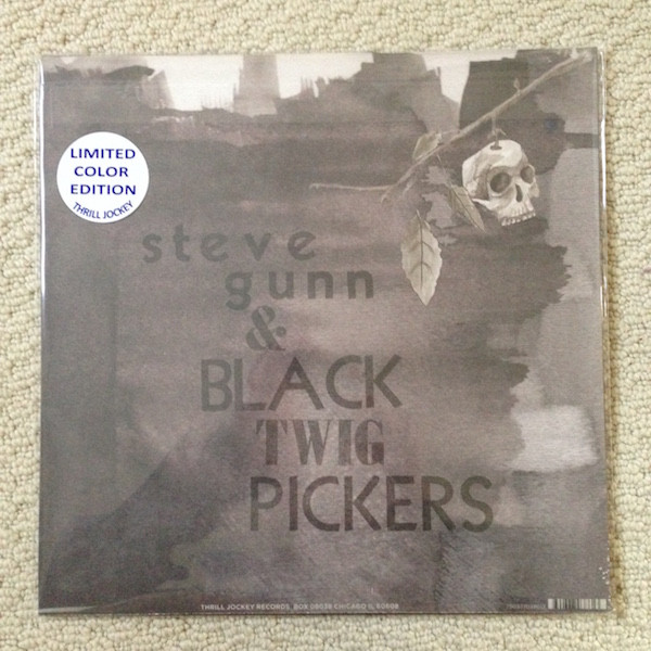 ladda ner album Steve Gunn and Black Twig Pickers - Seasonal Hire