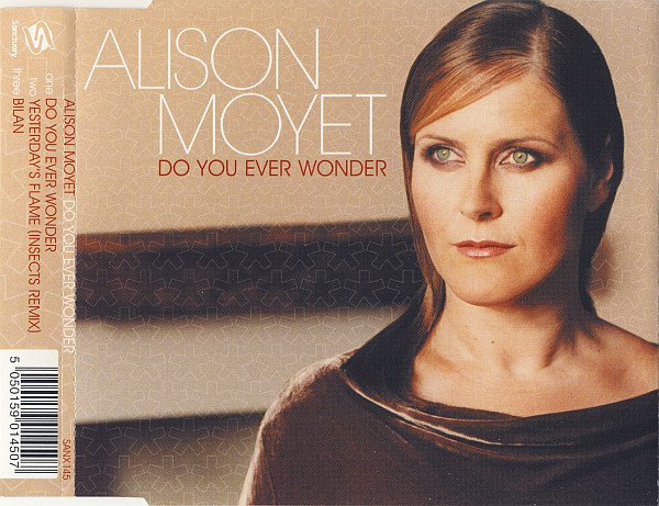 ladda ner album Alison Moyet - Do You Ever Wonder