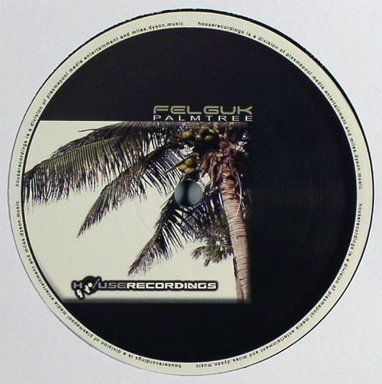 last ned album Felguk - Palmtree