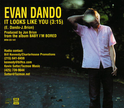 Album herunterladen Evan Dando - It Looks Like You