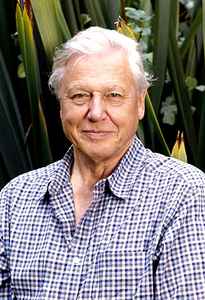 David Attenborough on Discogs