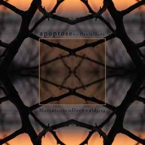 Apoptose - Maria Durch Ein Dornwald Ging album cover
