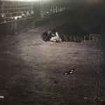 John Zorn – Naked City (2016, Vinyl) - Discogs