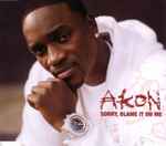 Sorry, Blame It On Me / Akon