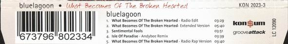 lataa albumi bluelagoon - What Becomes Of The Broken Hearted