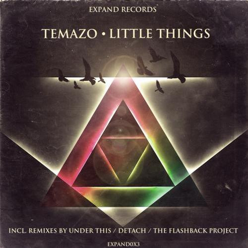 last ned album Temazo - Little Things