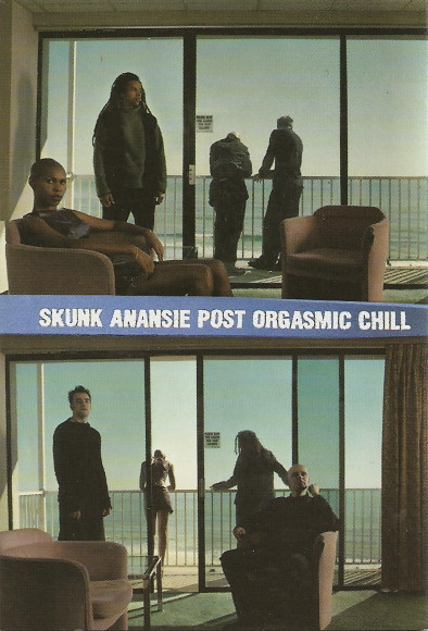 Skunk Anansie - Post Orgasmic Chill | Releases | Discogs