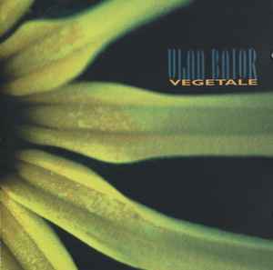 Ulan Bator - Végétale album cover