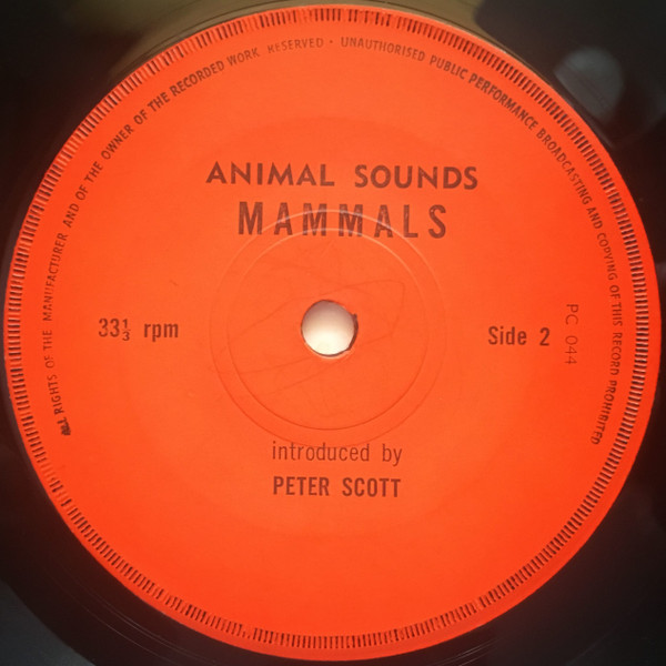 last ned album Unknown Artist - Animal Sounds Mammals