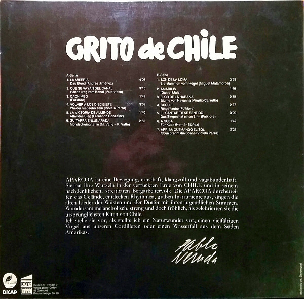 Album herunterladen Grupo Aparcoa - Grito De Chile