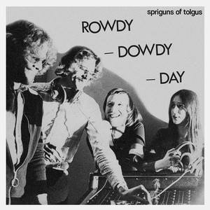 Spriguns Of Tolgus – Rowdy - Dowdy - Day (2023, Vinyl) - Discogs