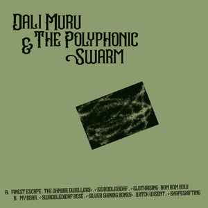 Dali Muru & The Polyphonic Swarm - Dali Muru & The Polyphonic Swarm