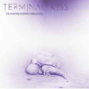 Terminal Kiss - The Hurting (Horrific Dream Mix) album cover