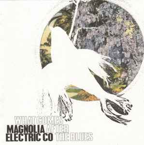 What Comes After The Blues - Magnolia Electric Co