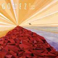 Gomez - A New Tide album cover