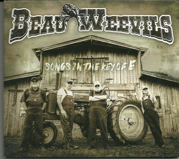 descargar álbum Beau Weevils - Songs In The Key Of E