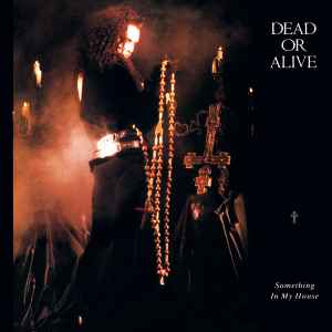 Dead Or Alive - Something In My House album cover