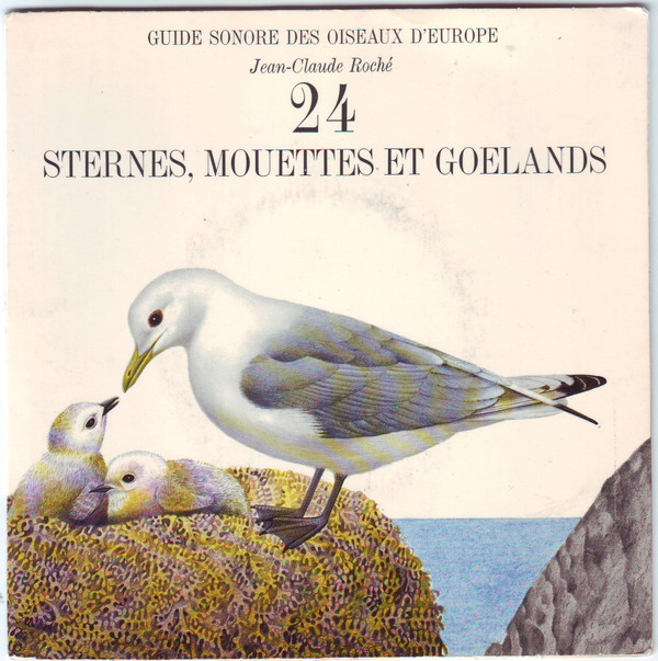 ladda ner album JeanClaude Roché - Sternes Mouettes Et Goélands