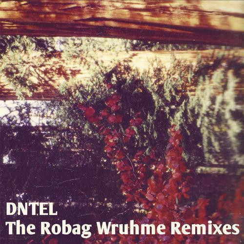 ladda ner album Dntel - The Robag Wruhme Remixes