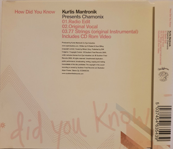Album herunterladen Kurtis Mantronik Presents Chamonix - How Did You Know
