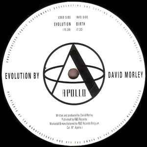 David Morley - Evolution