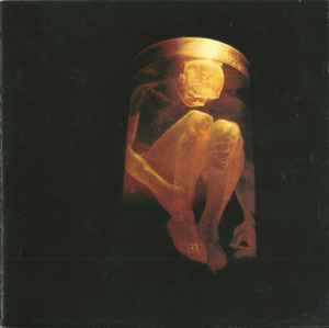 Alice In Chains - Nothing Safe: The Best Of The Box album cover