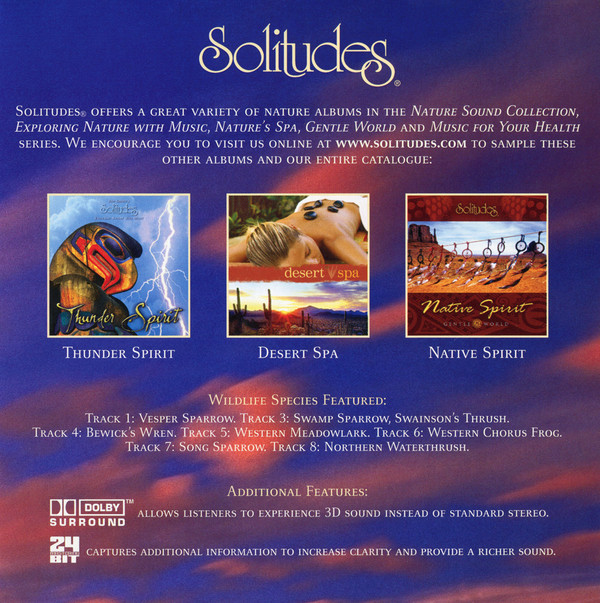 last ned album Ashtar Ron Allen - Mystic Sky Relaxing Native Flutes