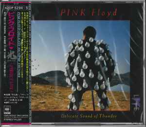 Pink Floyd - Delicate Sound Of Thunder = 光 Hikari~Perfect Live!