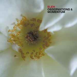 Eleh - Observations & Momentum