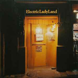 未使用 超レア盤！ From Electric Lady Land '83 - 邦楽